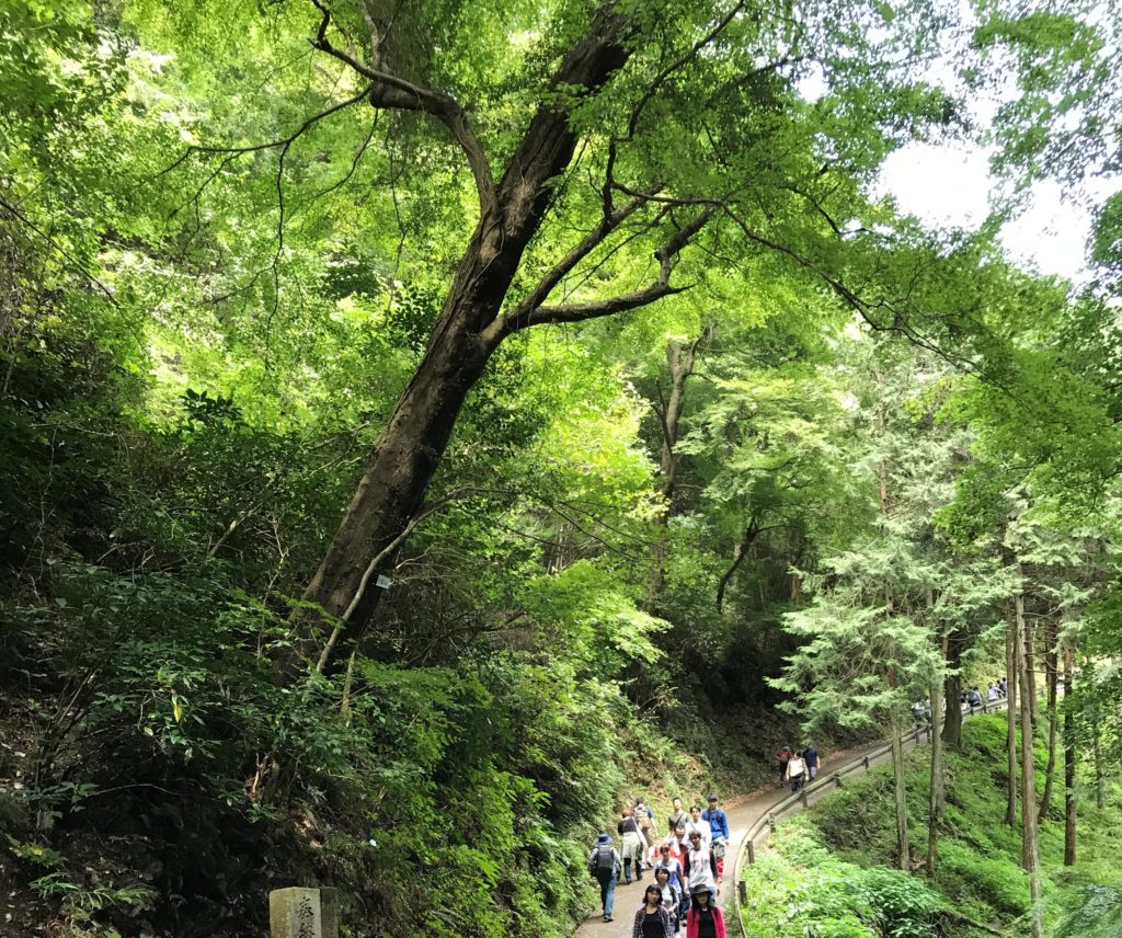 在高尾山顶炊事煮咖啡 東京の点点滴滴